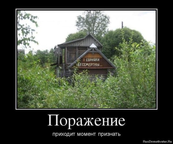 Приколы про дачу смешные