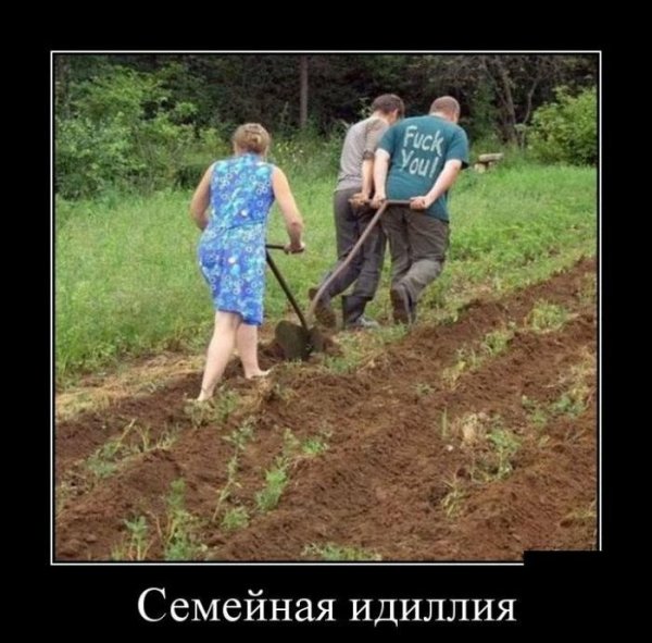 Демотиваторы про огород