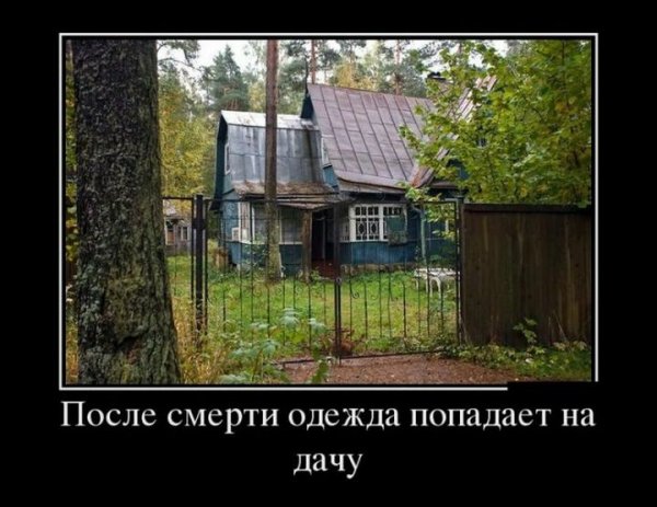 Приколы про дачу