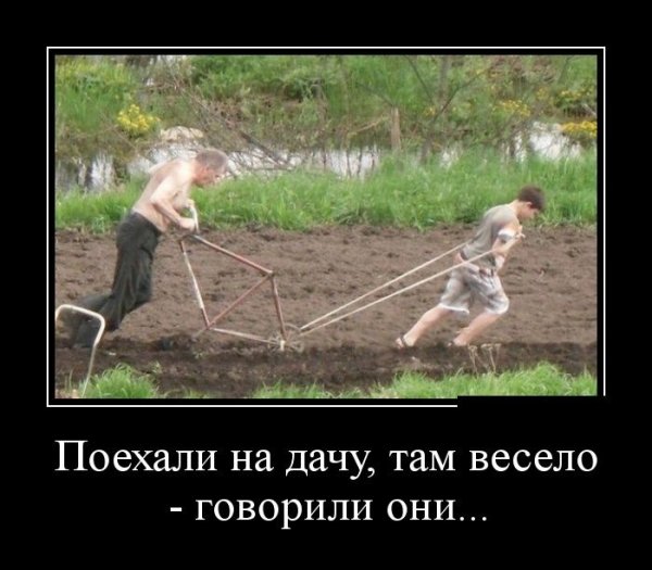 Анекдоты про дачу