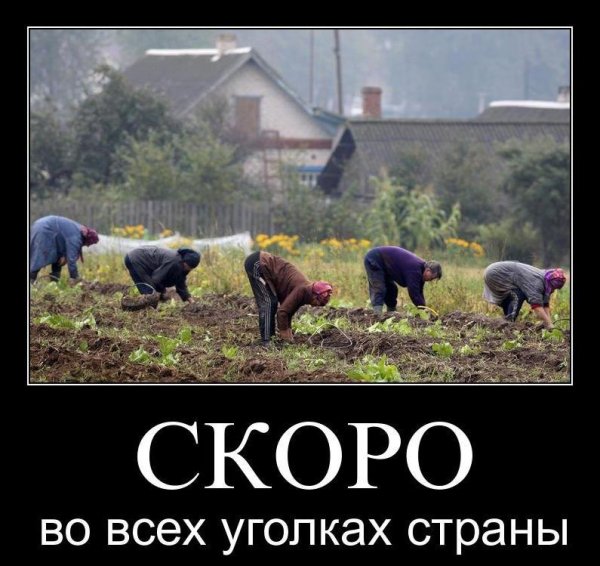 Демотиваторы про дачу смешные