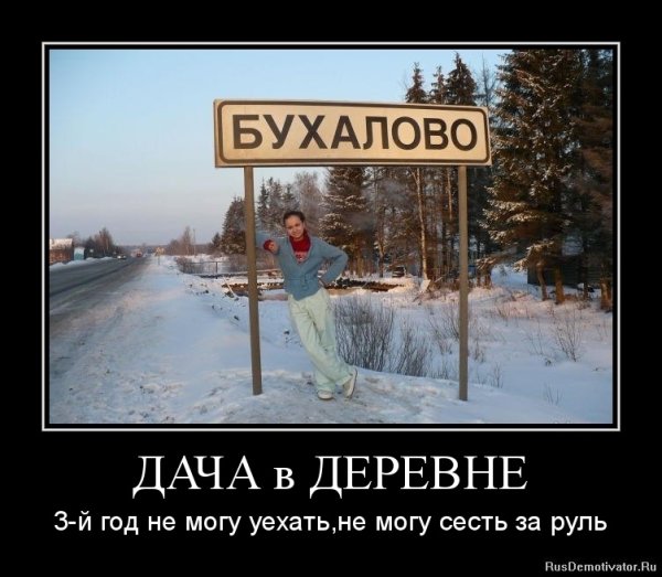 Дача юмор