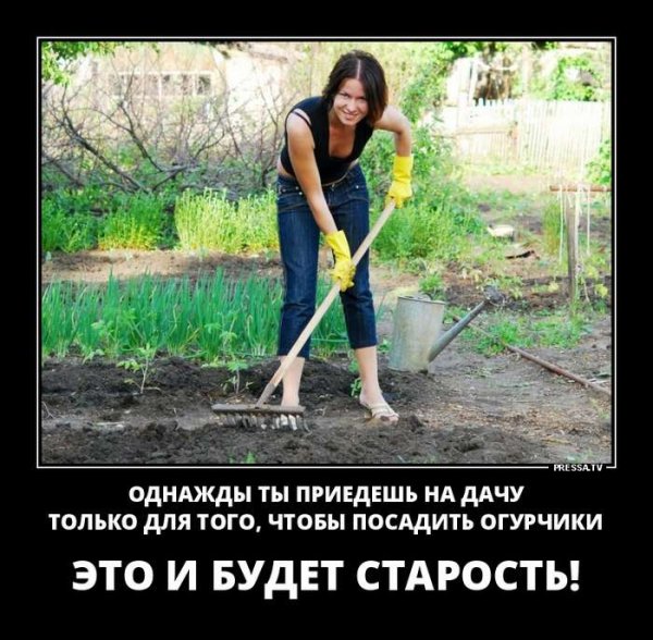 Приколы про дачу смешные
