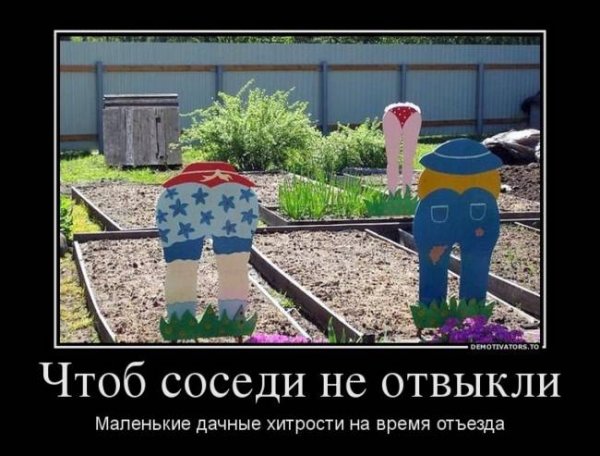 Приколы про дачу