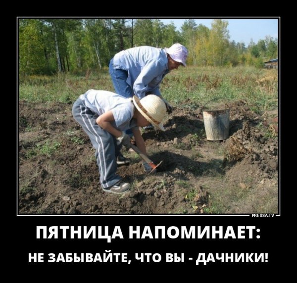 Дача огород юмор