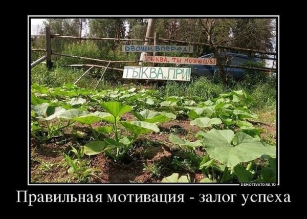 Демотиваторы про дачу смешные