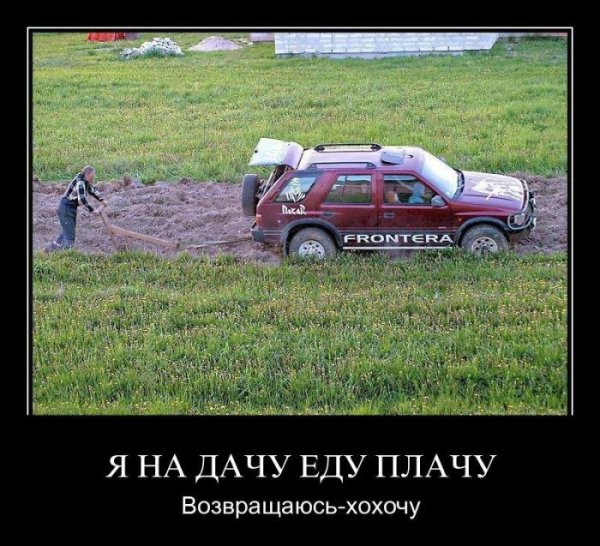 Про огород прикольные