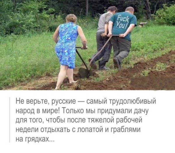 Курятник строгого режима