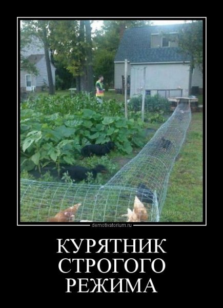 Теща на даче