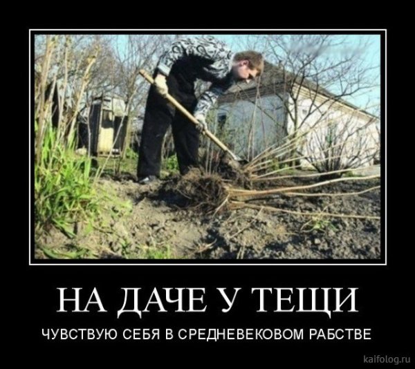 Дачные демотиваторы