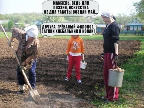 Дача юмор