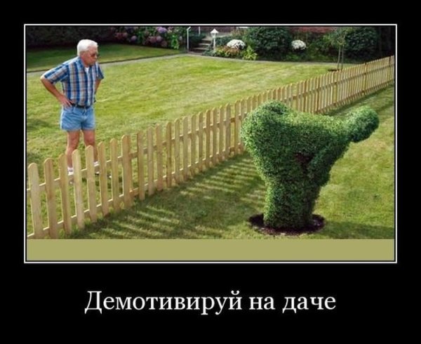 Демотиваторы про огород
