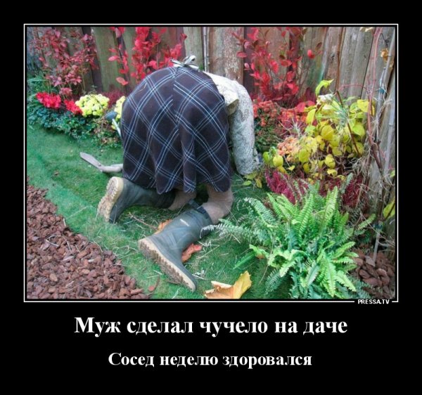 Демотиваторы про дачу смешные
