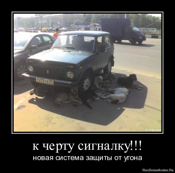 Шутки про ниву