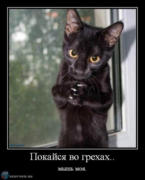 Демотиваторы с качками