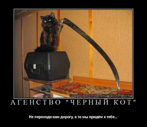 Черные коты демотиватор