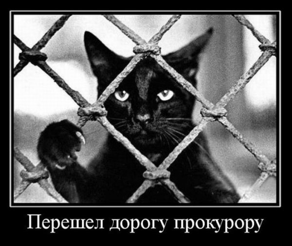Перешел дорогу прокурору