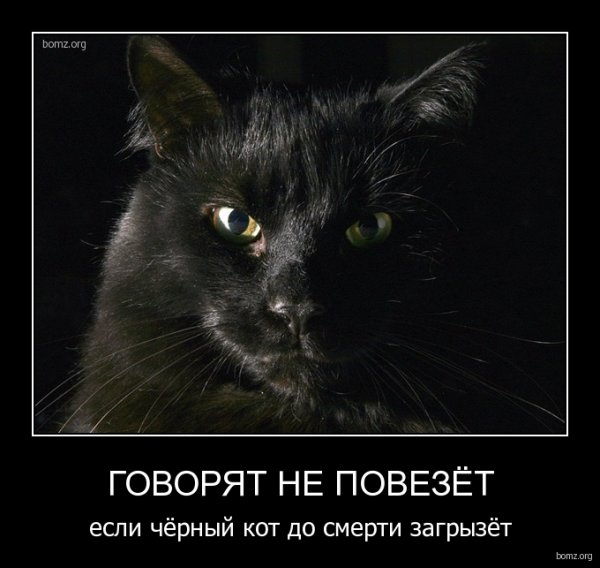 Черные обои