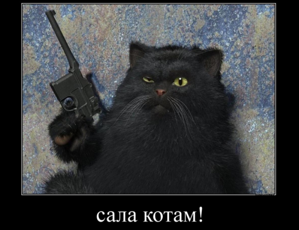 Сижу никого не трогаю починяю примус