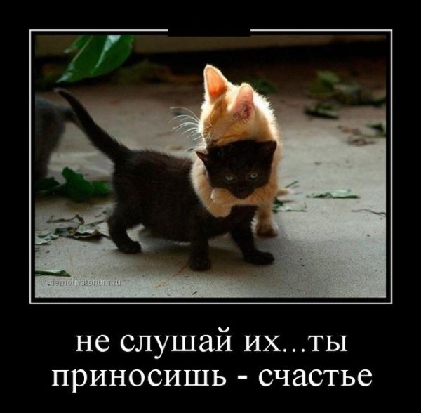 Не слушай их они все врут ты приносишь счастье