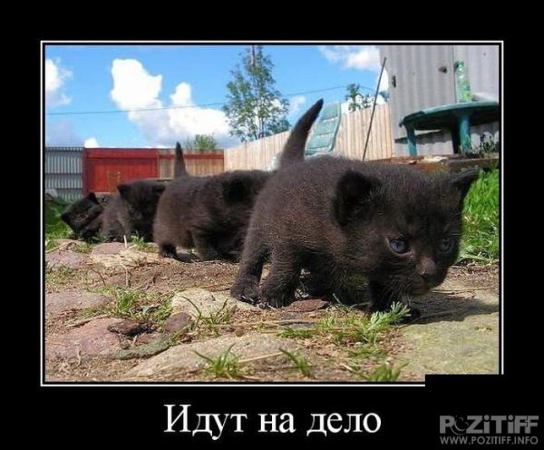 Дела идут