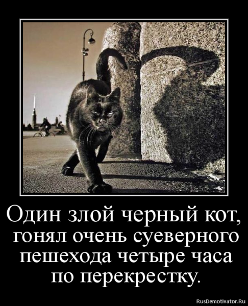Цитаты про черного кота