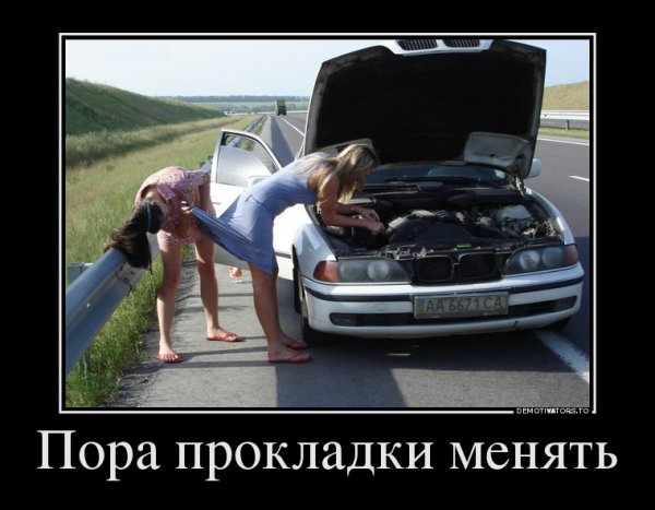 Девушки и авто демотиватор