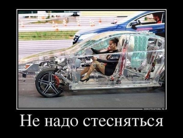 Шутки про трусы женские