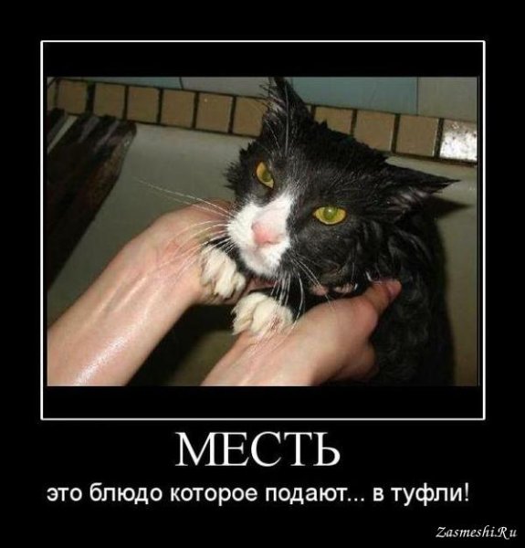 Месть это блюдо которое подают в тапки