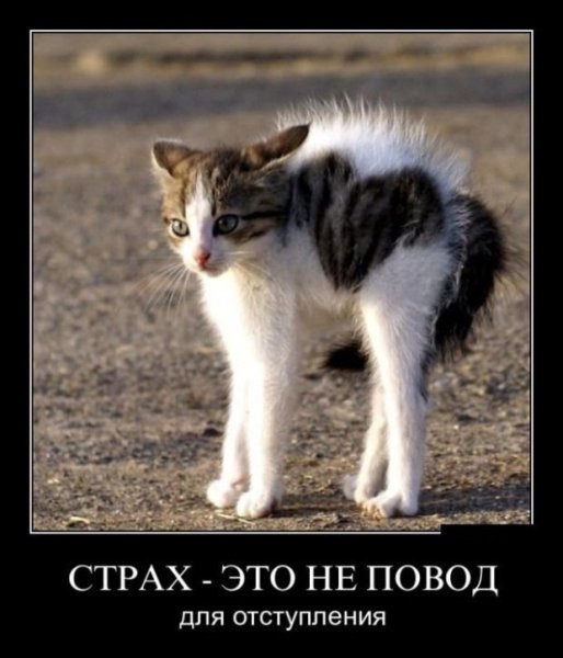 Испуг демотиватор