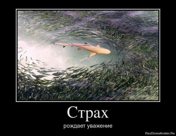 Шутки про страх