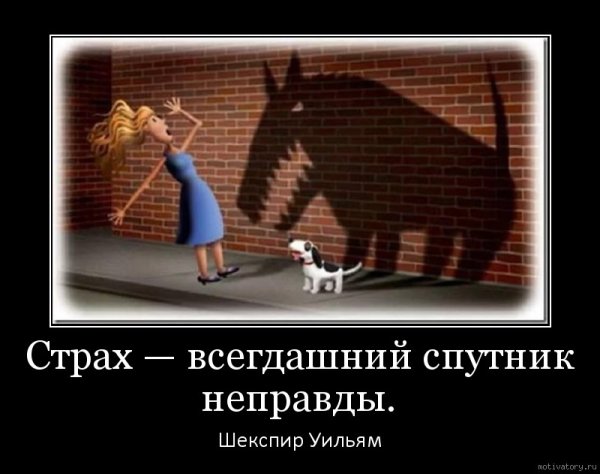 Страх пустая трата времени