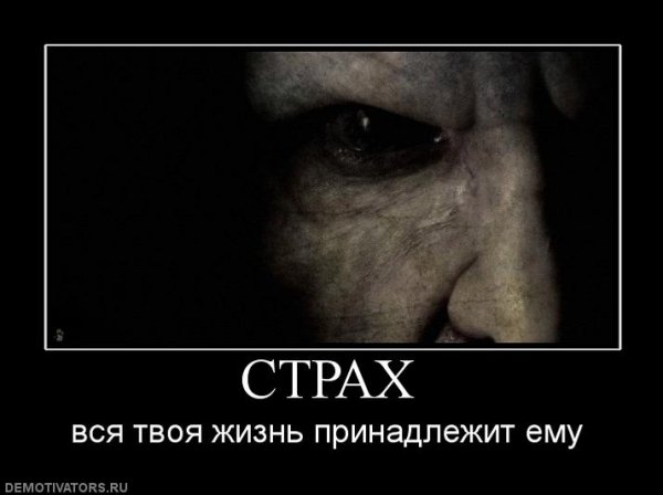 Смешные фразы про страх