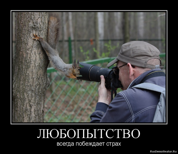 Любопытство прикол