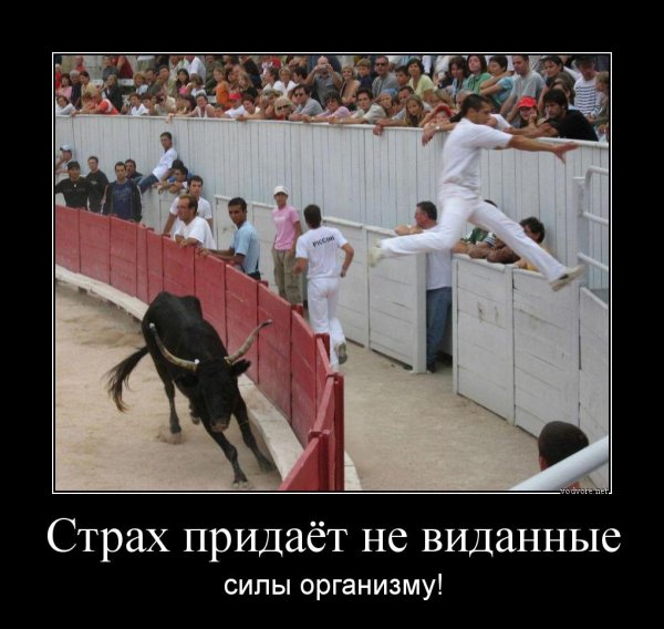 Демотиваторы самые злобные