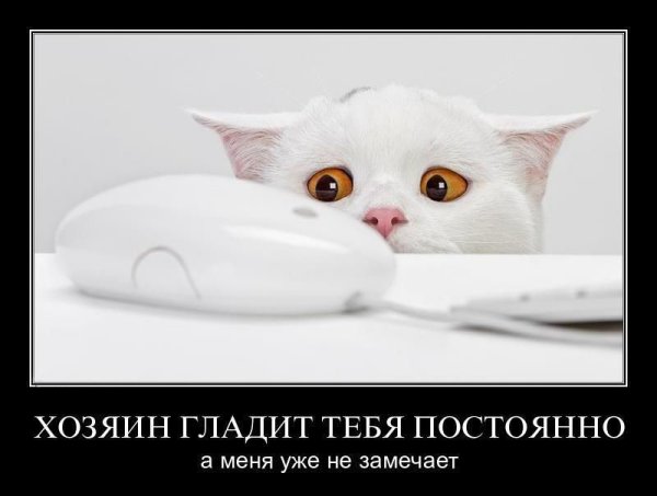 Страх юмор