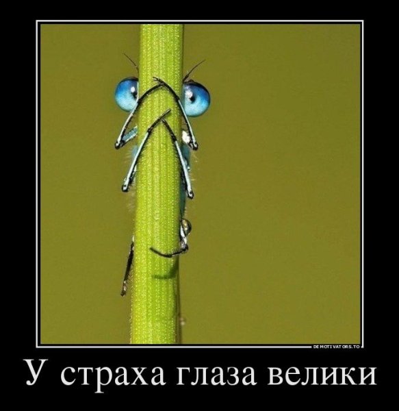 Шутки про страх