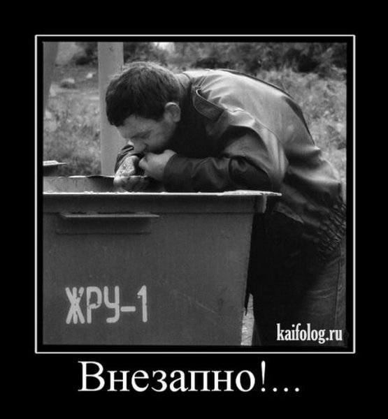 Жадина демотиватор