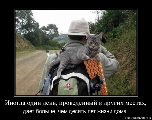 Шутки про путешествия