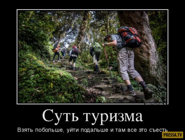 Туристические приколы