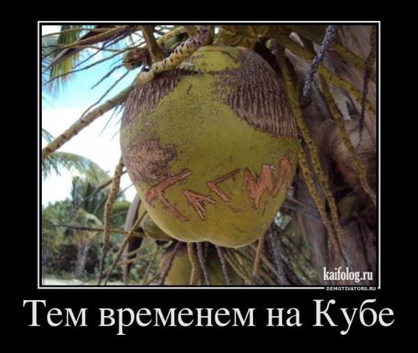 Демотиваторы путешествия