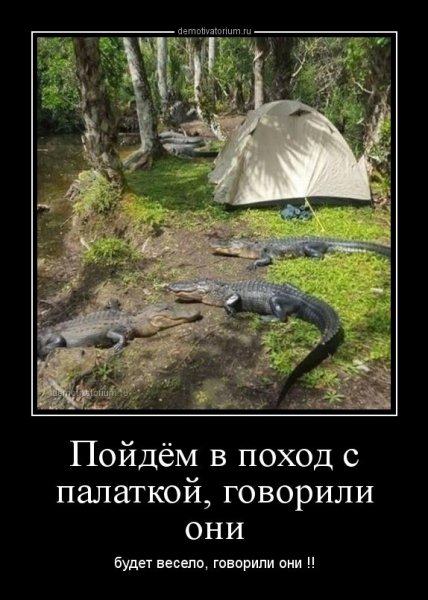 Шутки про поход
