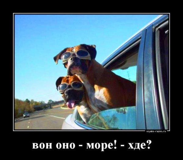 Шутки про путешествия
