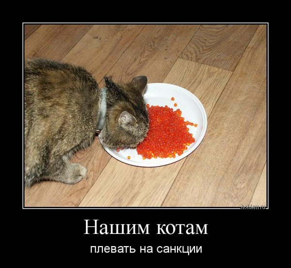 Нищета прикол