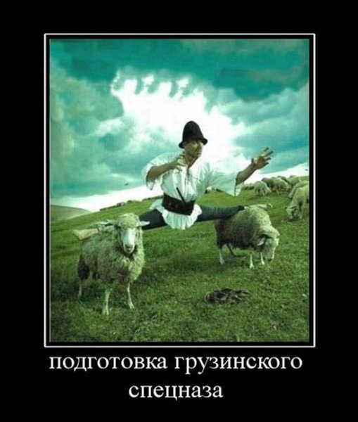 Грузинские приколы