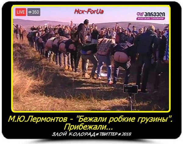 Бежали робкие грузины Лермонтов