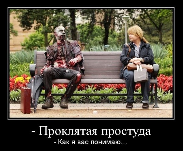 Приколы про простуду