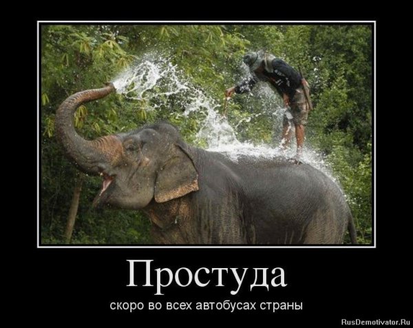 Демотиваторы про простуду смешные