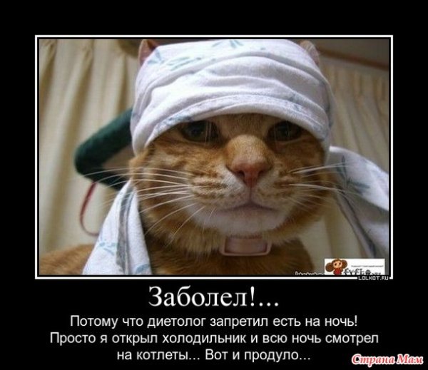 Заболел прикол