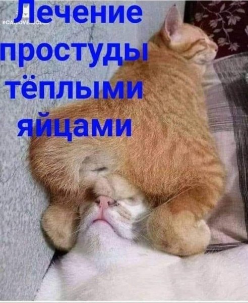 Приколы про простуду